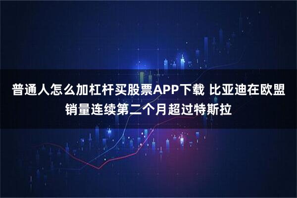 普通人怎么加杠杆买股票APP下载 比亚迪在欧盟销量连续第二个月超过特斯拉