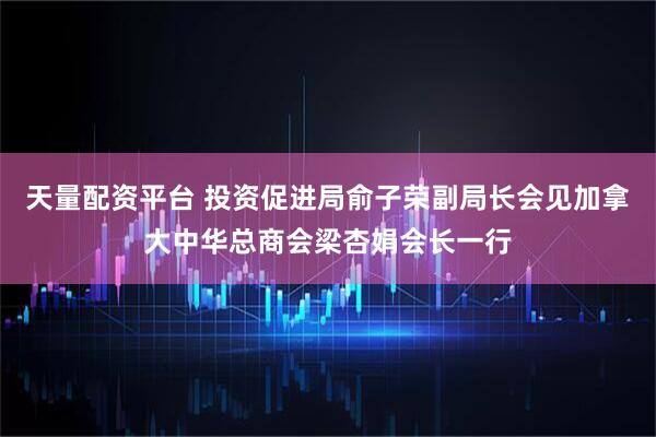 天量配资平台 投资促进局俞子荣副局长会见加拿大中华总商会梁杏娟会长一行